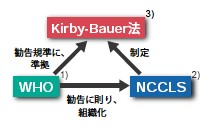 Kirby-Bauer法　説明図
