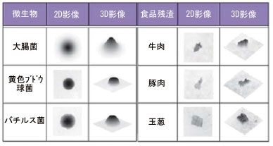 表１　MicroBio μ3DTMが取得した2D影像と3D影像