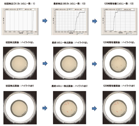 図10　嫌気性菌のコロニー検出グラフと検出画像（MF法，供試菌：<i>C. sporogenes</i>）