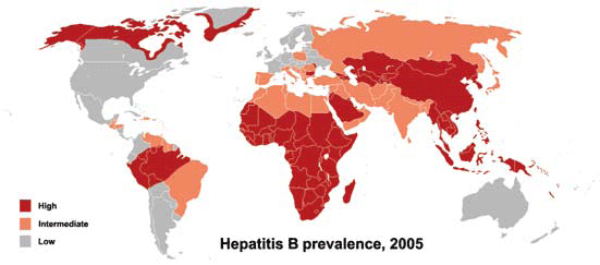 世界のHBV 流行(2005) ＨＢＶ アジアの病気　３億５千万人 アジアの医療者へ 職業感染意識