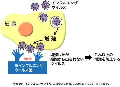 2 2 インフルエンザ 日本bd