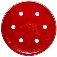 ミューラーヒントン5 ヒツジ血液寒天培地 日本bd