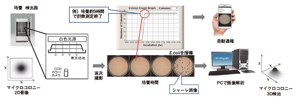 図２　 タイムラプス影像解析法に基づく全自動迅速微生物検出装置MicroBio μ3DTM概念