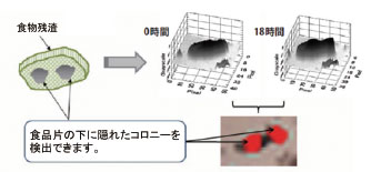 図7 MicroBio μ3D™が検出した薄い肉片（ハンバーグ片）の下のコロニー