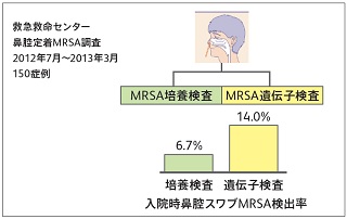図6 遺伝子検査によるMRSA検出