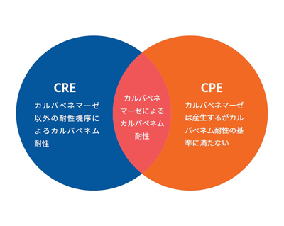 CREとCPEのとらえ方