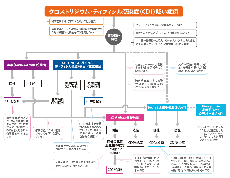 意味 アウトブレイク