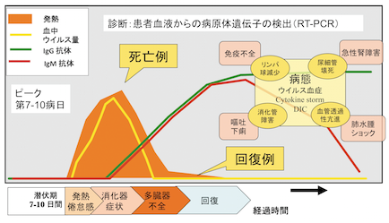 西アフリカにおけるエボラウイルス感染症流行と職業感染対策 感染症流行対応支援者の安全と健康の視点から 日本bd